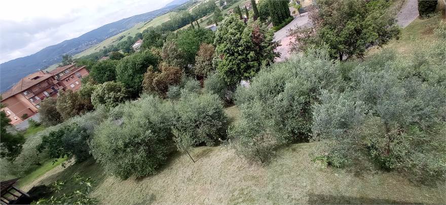 Photo 36