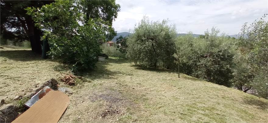 Photo 33