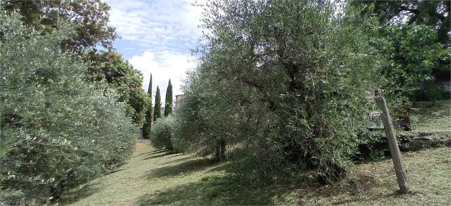 Photo 34