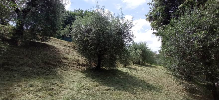 Photo 35