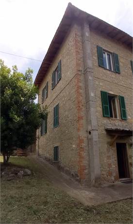 Photo 38