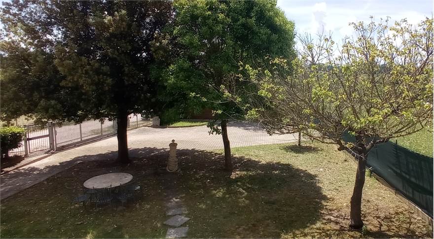 Photo 42
