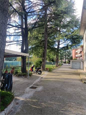 lastricato