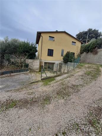 Photo 45