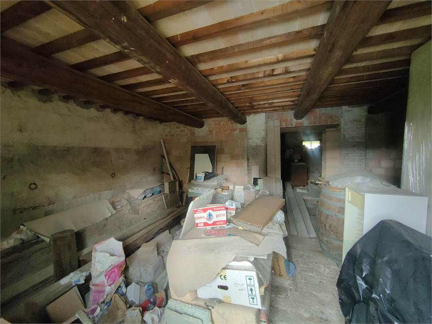 Photo 35