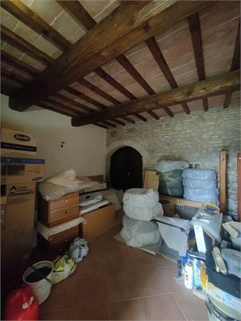 Photo 46